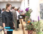 Удивительные цветы